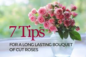 One of the most beautiful effects that you can achieve with you can spray the petals with acrylic spray to ensure longer preservation. Keep Your Bouquet Of Cut Roses For Longer