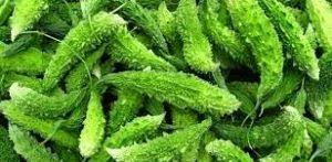 Maybe you would like to learn more about one of these? 4 Manfaat Pare Hutan Bagi Manusia Manfaat Co Id