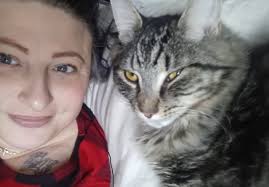 Luther (Cat) Received on: 2021-07-01 Found Near: 14000 block of 29TH AVE S.  SEATAC Description: Org Tabby Male Domestic Mediumhair Cat Age: 5 YEARS  Current Location: King County Pet Adoption Center 21615