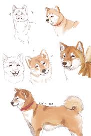 Shiba Inu By Curlyfruit On Deviantart Baby Animal Drawings Animal Drawings Cute Animal Drawings