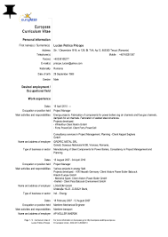 They are usually used in job applications, academic applications, and similar documentation. Europa Cv Format For 2021 Printable And Downloadable Just