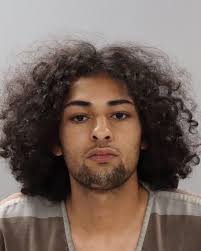 Knox County Sheriff's Office charges: vandalism, burglary, theft, evading  arrest