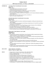 / 12+ financial manager resume templates. Infrastructure Project Manager Resume Samples Velvet Jobs