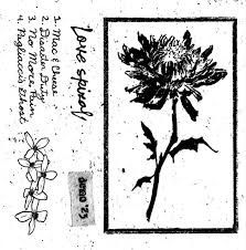 Love Spiral discography - RYM