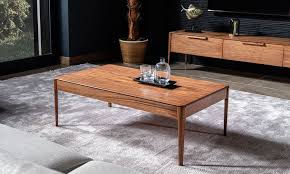 Lounge Orta Sehpa Mobilya Kahve Masasi Modern Mobilya