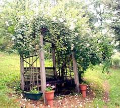 9 Twig Craft Ideas For Garden Design Balcony Garden Web Twig Crafts Garden Design Garden Web