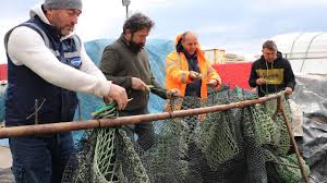 Marmara denizi'nde etkili olan salya nedeniyle 1 ay aradan sonra denize açılan balıkçılar salya ile limana döndü. Tekirdag Da Deniz Salyasi Balik Sezonunu Erken Kapattirdi Son Dakika Haberleri