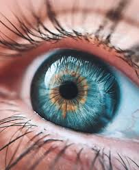 Hd Pics Wallpapers Hd Pics Wallpapers Best Picture For Drawing Eyes Simple For Your Taste You Are Looki Eye Close Up Eye Photography Aesthetic Eyes
