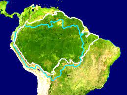The amazon rainforest is critical to the health of the planet. Amazon Rainforest Wikipedia