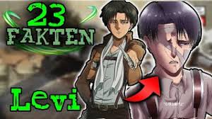 The answer is, obviously, yes, and they are most probably distant cousins. Wie Sind Levi Und Mikasa Verwandt Anime Manga Attack On Titan