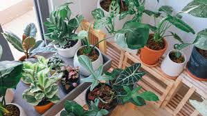 The benefits of going organic in your lawn and garden are vast! Everything You Need To Set Up A Garden Center In Woocommerce Barn2 Plugins