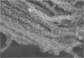 Mechanical, automotive & materials engineering. Ucla Engineers Develop Branch And Leaves Design For Super Efficient Electrodes Design Engineering