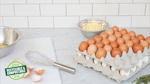 Maybe you're getting into apartment composting with one of the many convenient indoor compost bins now available for us urban decayers. Egg Packaging Solutions Cascades