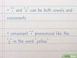 We believe there is no substitution for complete immersion in a language. 3 Ways To Learn Latin On Your Own Wikihow