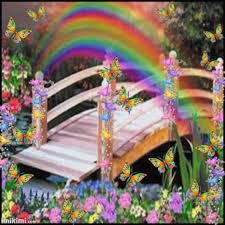 Loss Bridge Gif Loss Bridge Butterfly Discover Share Gifs Rainbow Bridge Rainbow Gif Nature Artists
