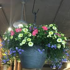 Maybe you would like to learn more about one of these? Outdoor Annuals Hanging Basket In Naugatuck Ct Terri S Flower Shop