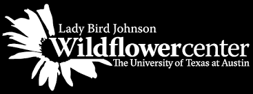 Lady bird movie reviews & metacritic score: Quotes Lady Bird Johnson