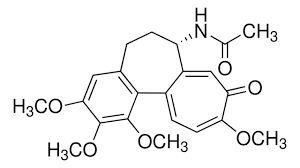 Image result for Colchicine