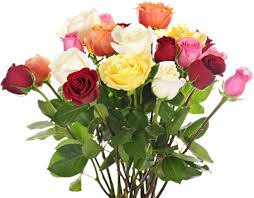 There are conflicting opinions regarding the appropriateness of sending flowers for a muslim funeral. 2021 Guide To Selecting The Right Funeral Flowers