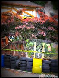 5 out of 5 stars. Halloween Decorations What S Your Style Over The Top Or Hap Hazard