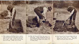 This particular style of gardening does. No Dig Gardening Vs Digging Allotment Garden Diary