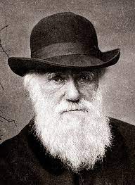 Darwin is the world's number one global benefits platform, used by companies all over the world to change benefits. File Charles Darwin 1880 Jpg Wikimedia Commons