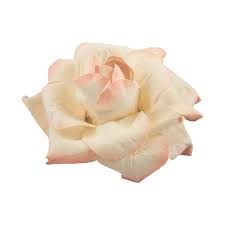 Vjs Victoriancharm Rose 03 Png Liked On Polyvore Featuring Flowers Fillers Roses Pink Flowers Detail And Embell Flower Art Flower Png Images Pink Flowers