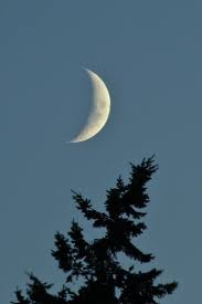Love that i could find these. Night Sky Beautiful Crescent Moon Novocom Top