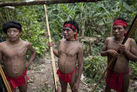 They say brazil's new president wants to allow deforestation in some of the 700 protected areas for indigenous groups within the. How Is Covid 10 Affecting Indigenous People In The Amazon World Economic Forum