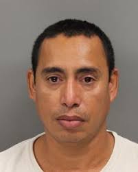 New homes underway around historic Marietta tree