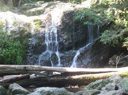 The appalachian trail passes near the park. Parks Of The Western Region In Maryland