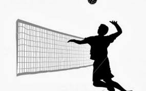 Detail Gambar Fantastis 30 Gambar Kartun Volly Bal Download 76 Gambar Post