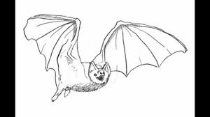 How To Draw A Bat Step By Step Youtube These drawing instructions are fun and easy, with just 6 steps to follow you will be drawing your halloween time is the best time to learn how to draw a bat! how to draw a bat step by step