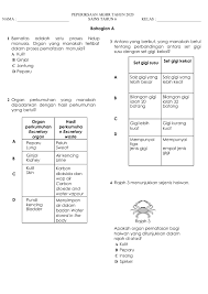 Organ seksual wanita yang menikmati hak istimewa untuk menjadi titik organisma dengan bilangan ujung saraf tertinggi dalam tubuh manusia. Peperiksaan Akhir Tahun 2020 Sains T6 Flip Ebook Pages 1 10 Anyflip Anyflip