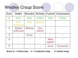 Image result for Croup Score