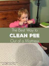 Clean Pee Out Of A Mattress With This Easy, 3-Step Trick (That Actually  Works)