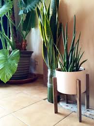 Tissu Heritage Studio Idee Deco Jardin Decoration Plante Et Deco