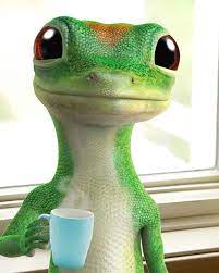 You can still purchase gecko products online from authorized resellers. Who Is Geico Gecko Thegeicogecko Explained