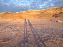 Mdrs Tumblr