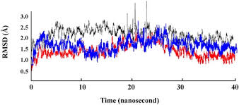 Image result for Tinnea antiscorbutica