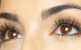 Eyelash Brow Growth Oil Natural Lash Serum With Vitamine Etsy In 2020 Thicker Eyelashes Eyelashes Natural Lashes