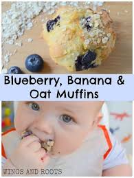 Sugar Free Blueberry Banana And Oat Muffins Wings And Roots Baby Snacks Baby Led Weaning Recipes Baby Food Recipes