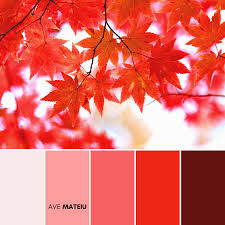 We've made trips to the basement, and we've come back armed with candles and wreaths. 20 Fall Autumn Color Palettes With Pantone And Hex Codes Free Colors Guide Ave Mateiu