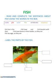 Characteristics Of Fish Interactive Worksheet In 2020 English As A Second Language Esl Worksheets English As A Second Language