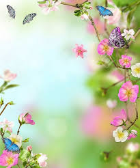 Wallpaper Iphone Flower Frame Flower Backgrounds Backdrops