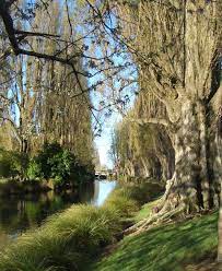 christchurch christchurch christchurch new zealand new zealand country