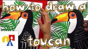 The rainforest pyramid, which contains tropical. How To Draw Rainforest Animals Youtube