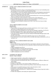 Developed and maintained relationships with owners, managers, and. Visual Merchandising Manager Resume Samples Velvet Jobs