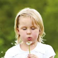 Wish 2013 groups: Trafford