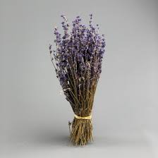 Dried herbs and flowers near me. Lavender 30cm Long By 10 Cm Wide Dried Herb Bunch